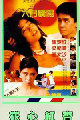 欧美日韩不卡视频一区二区三区