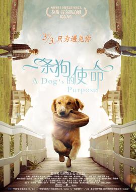 欧美一级成人影院免费的