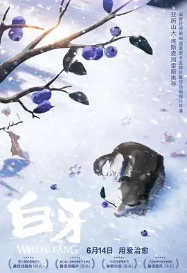 赢咖平台待遇