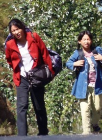 九九电影最新理论片