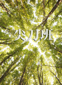 国产丝袜在线