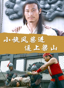 国产精品系列视频