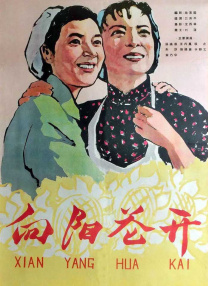 阳台上的美妙风光