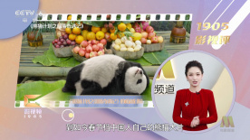 在线视频你懂的国产福利